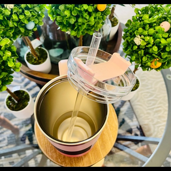 Stanley Quencher - Picture 13 of 15